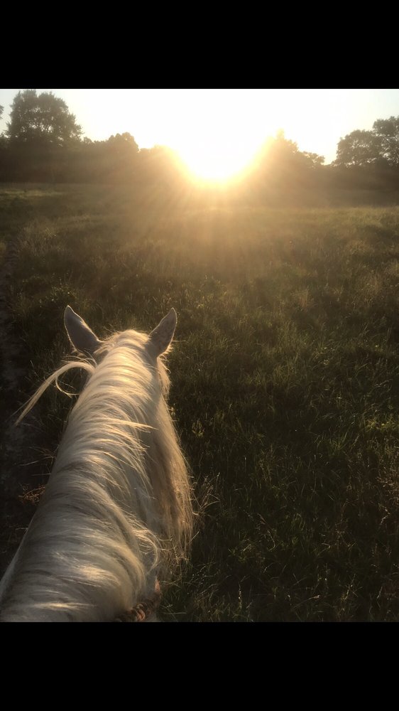 Horse Back Riding